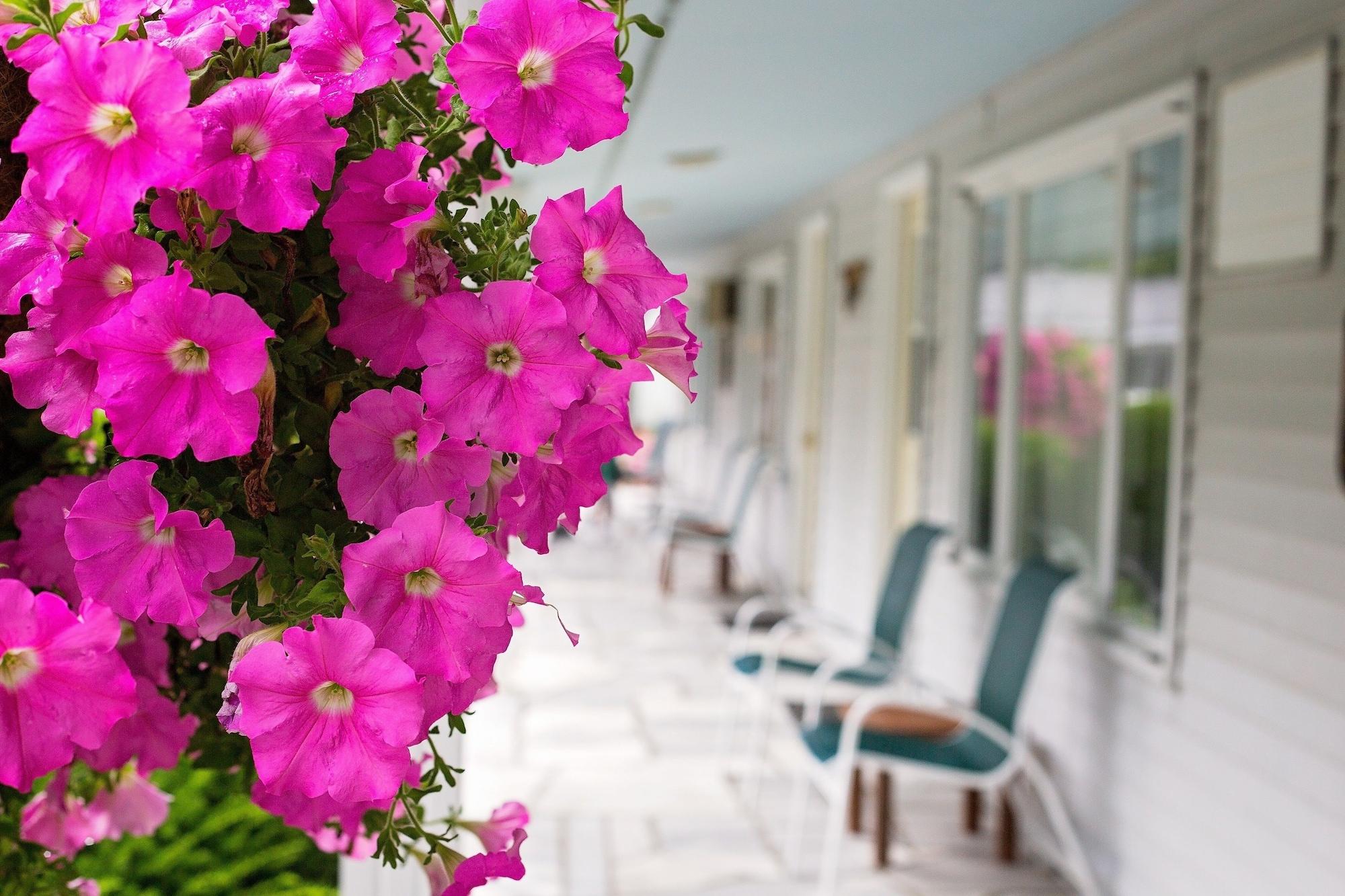The Palmer House Resort, Ascend Hotel Collection Manchester Luaran gambar